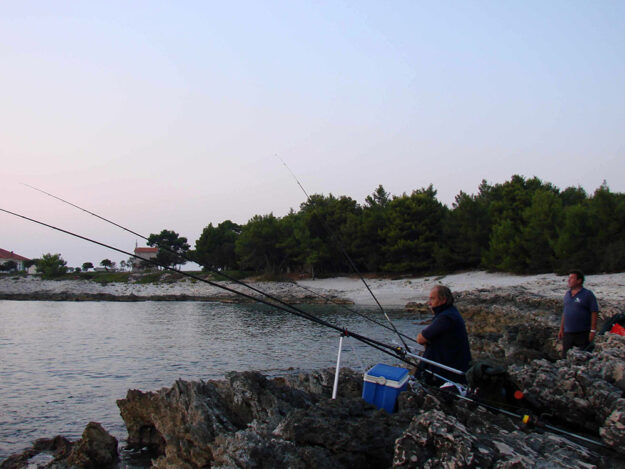 ROCKERSKI PRISTUPI – 01