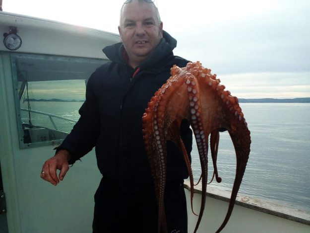 SAONICAMA PO HOBOTNICE – 00