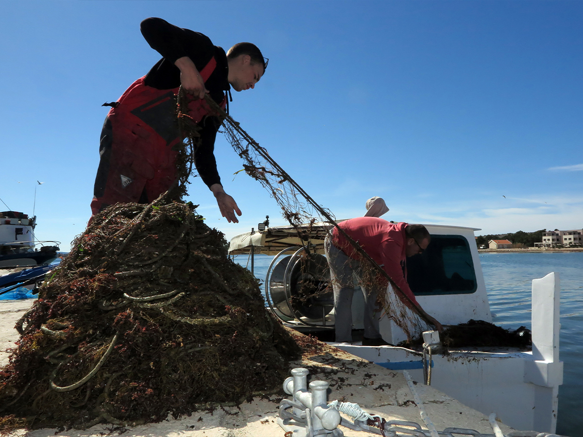 NEOČEKIVANA EKO AKCIJA – 00