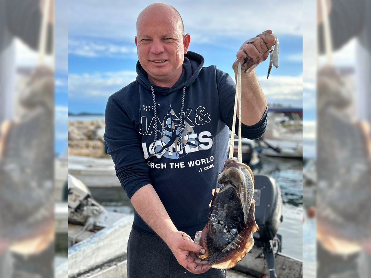 U PO MARČA SIPA I KOMARČA – 00