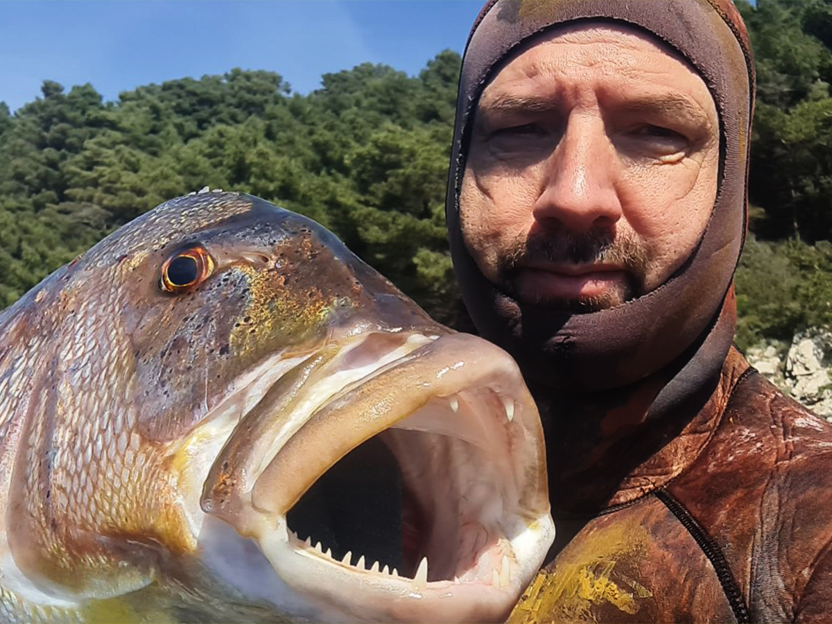 ČAROBNICA I ZUBIĆ VILA – TEO MAKSIMOVIĆ – 00