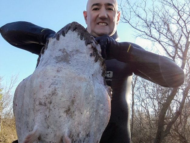 USPAVANA LJEPOTICA – MILE DRAŽENOVIĆ – 00