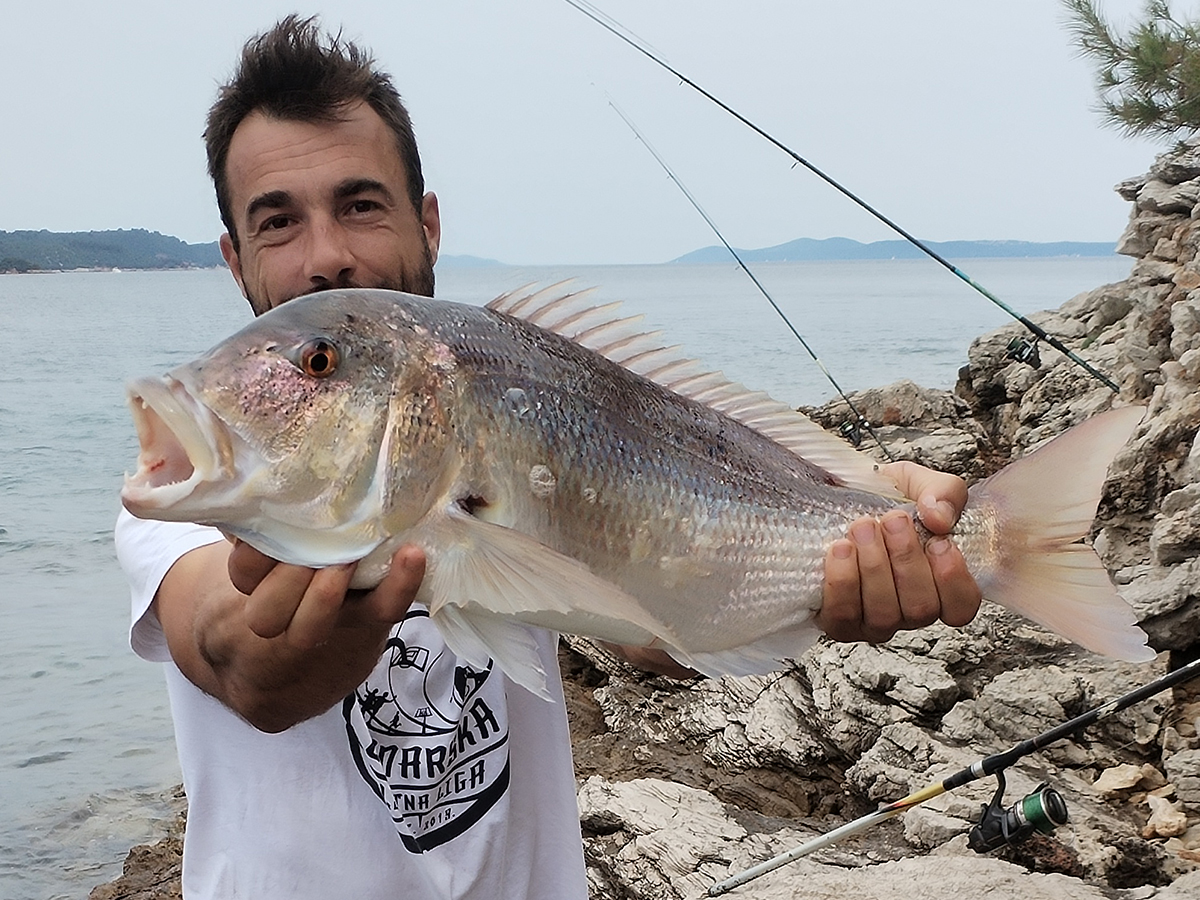 DVIJE RIBE NA JEDNU UDICU – DEJAN BENKOVIĆ – 00