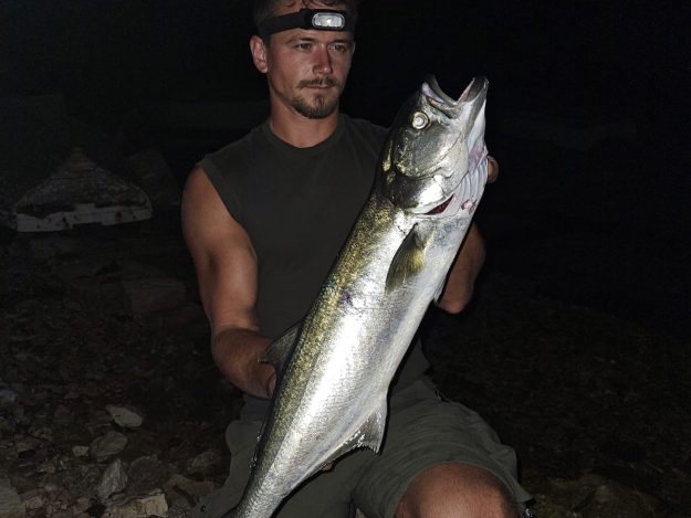 ČETIRI PAKLENO LUDE NOĆI – ŽELJKO NEKIĆ – 00