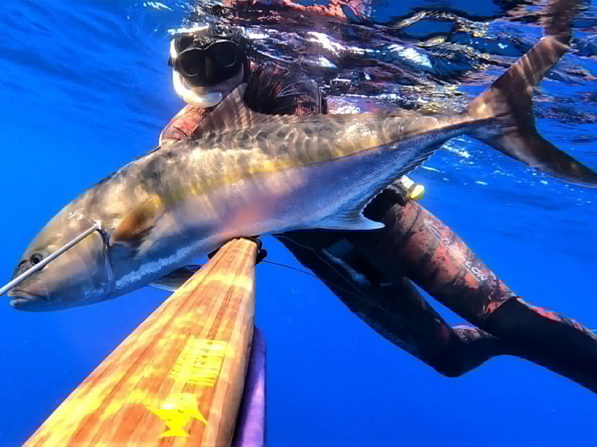 JURIN NOVI KAPITALAC – JURE DAIĆ – 00