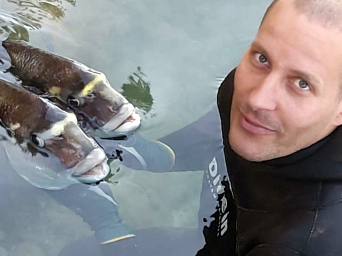 LUKINE MASLENIČKE KRALJICE – 00