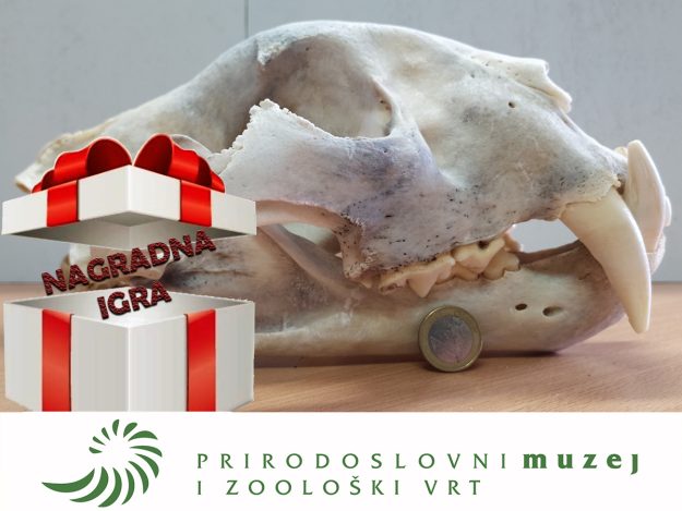 NAGRADNA IGRA – POGODITE DATUM I OSVOJITE BESPLATNE ULAZNICE- 00