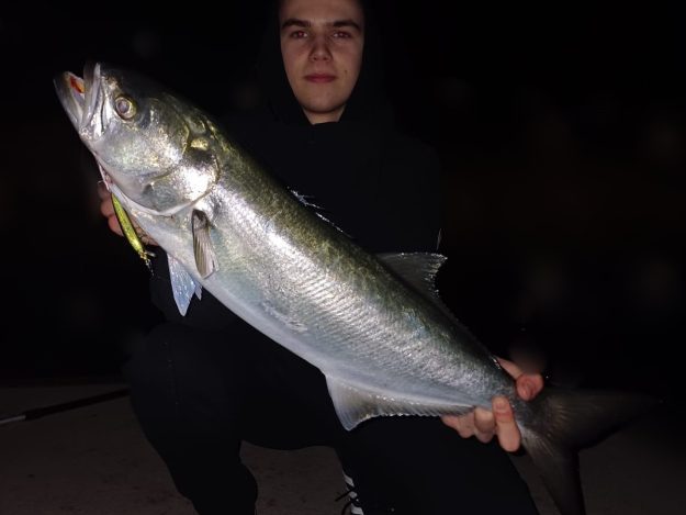 WOBBLER LIGHT – HEAVY FIGHT – ROKO KRŠULOVIĆ – 00