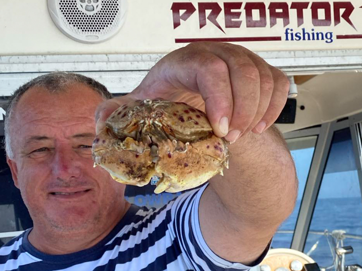 CRVENOPJEGAVA RAKOVICA – ZORAN RACANOVIĆ – 00