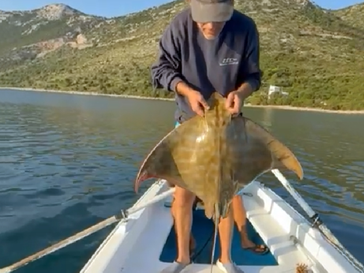 RIBAR KOJI CIJENI ŽIVOT POD MOREM – IVAN BOŽIN PODLANICA – PUŠTANJE GOLUBA – 00